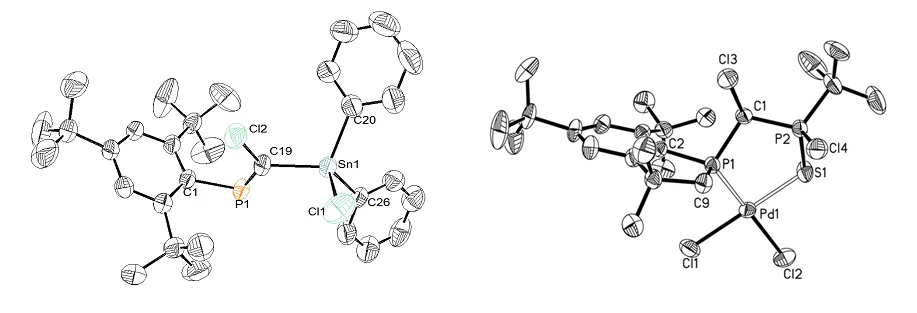 Heteropropene, heteroallene derivatives