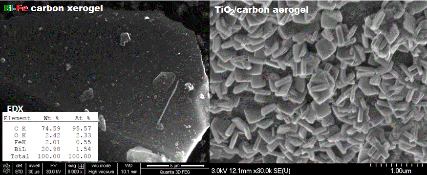 SEM-EDX analysis