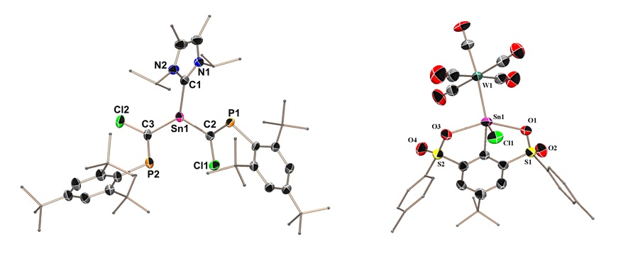 Metallylenes and  their transition metal complexes