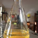 IMG_6966