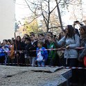 IMG_7134