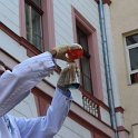 IMG_7173