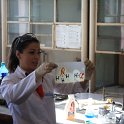 IMG_7295