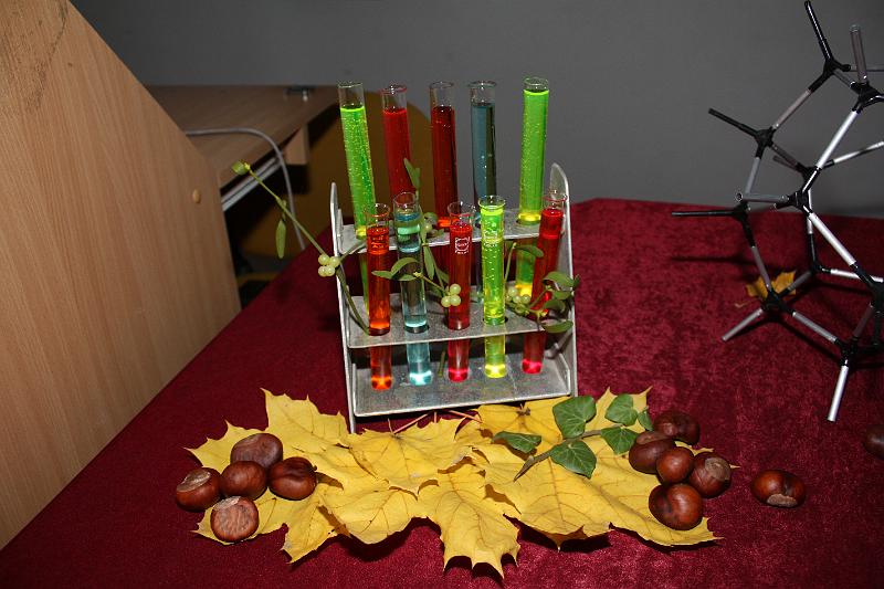 IMG_7847.JPG