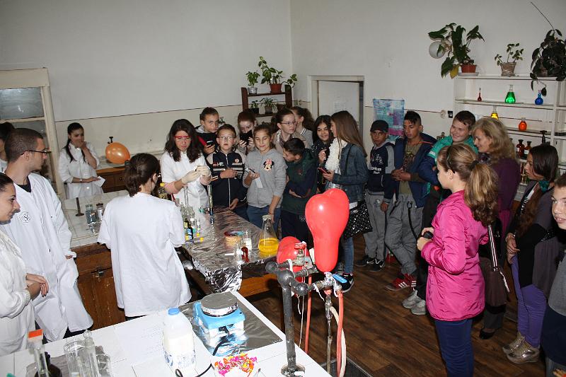 IMG_7950.JPG